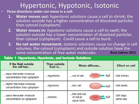 Hypertonic Hypotonic Isotonic Simple Diagrams Londoninriko