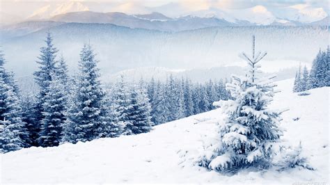 Beautiful Winter Hd Wallpaper Planos De Fundo Area De