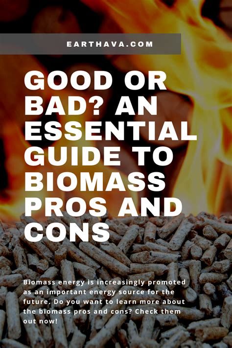 Biomass Energy Is The Burning Of Wood Plants And Animals This