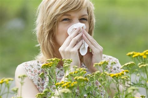 Natural Ways To Beat Allergies Resveralife