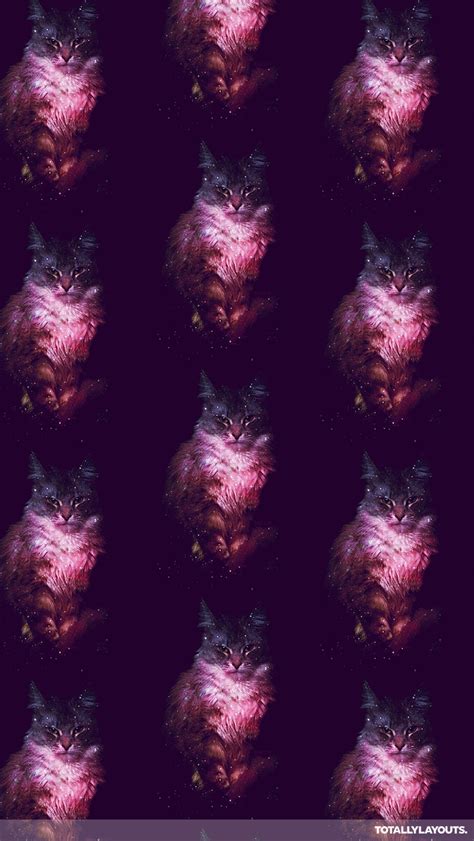 Galaxy Cat Iphone Wallpaper Wallpapersafari
