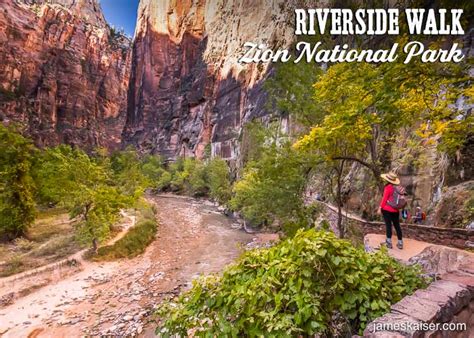 Hiking The Narrows Top Down Ultimate Guide Zion National Park