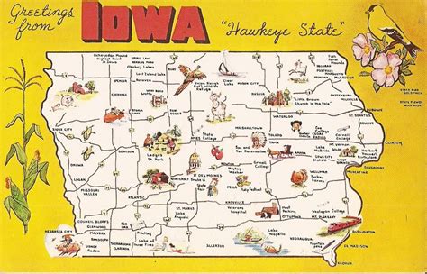 Vintage Postcard Iowa Map Hawkeye State Corn Gold Finch Wild