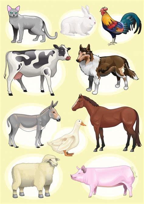 Premium Vector Set Realistic Farm Animals Imagenes Infantiles De