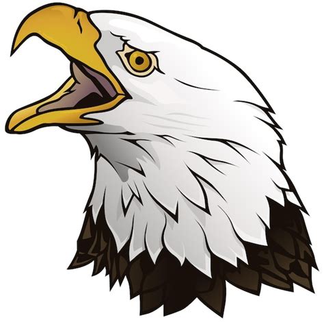 Premium Vector Bald Eagle Portrait Isolated On White Background