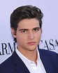 Will Peltz - Ethnicity of Celebs | What Nationality Ancestry Race