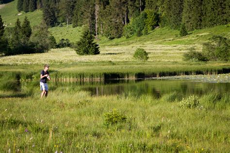 En Quête De Demain Jura Le Parc Naturel Du Haut Jura Veille à La Réhabilitation Des Tourbières