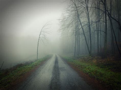 A Moody Road In A Foggy Damp Forest Misty Road By A Forest 4k Hd Wallpaper