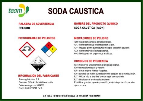 Etiqueta Soda Caustica Team Pdf
