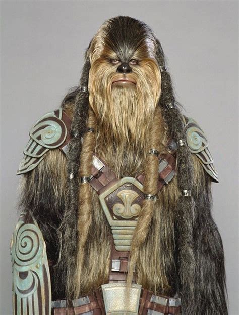 Wookie Warrior Star Wars Wookie Star Wars Trooper Star Wars Droids