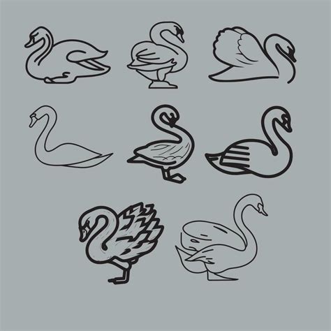 Swan Outline Icon Isolated Line Art Vector Illustration 24137538 Vector