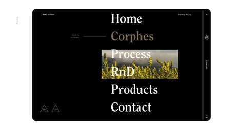 Corphes Website Luminous Design Group Digital Design