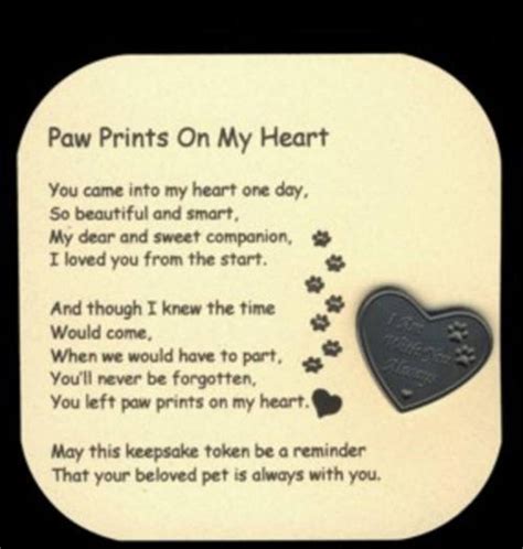 Pin On Pet Poems