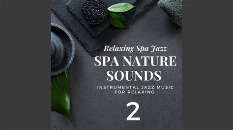 Nature Sounds Spa Music Relaxation Spa Jazz Music Youtube