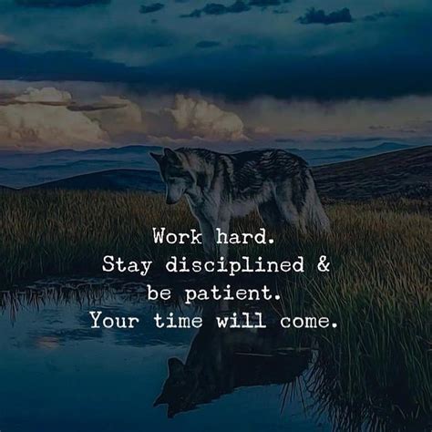 Work Hard Stay Disciplined And Be Patient Your Time Will Come Phrases