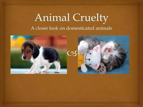 Ppt Animal Cruelty Powerpoint Presentation Free Download Id2848219