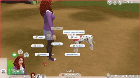 The Sims 4 Cats And Dogs Pet Training Skill Guide