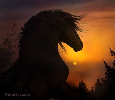 Horse Spirit Animals Are Likely To Represent Your Inner Strength And
