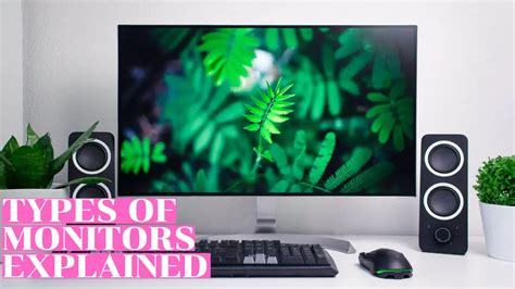 Different Types Of Monitors Explained