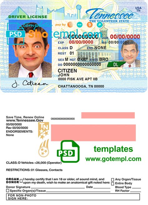 Usa Tennessee Driving License Template In Psd Format In 2021 Driving