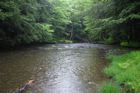 Tionesta Creek Wikipedia