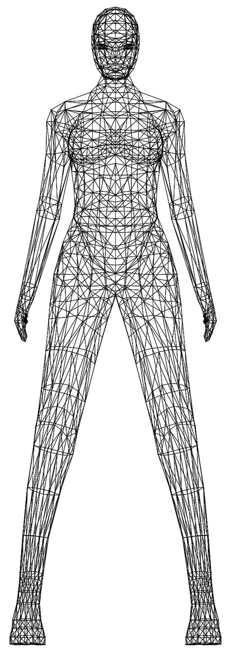 Female Human Body Outline Drawing