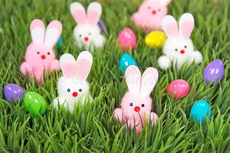 Easter Eggs And Bunnies In Grass Stock Photo Image Of Pink Bunny