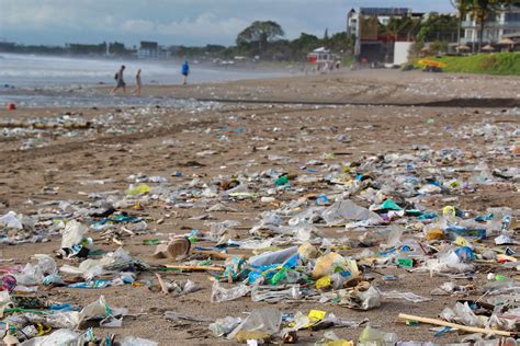 Wie Plastik Unsere Meere Zerstört 2021 Ecotravia