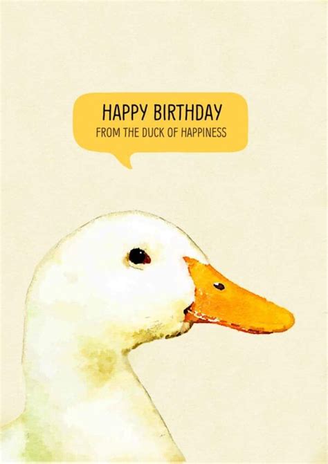 A Birthday Card Featuring A White Duck With An Engaging Look