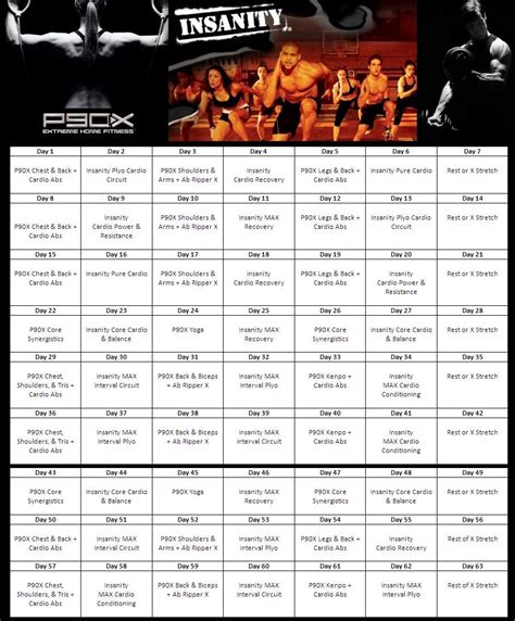 Insanity And P90x Hybrid Calendar Fitness Routing Workout Routine