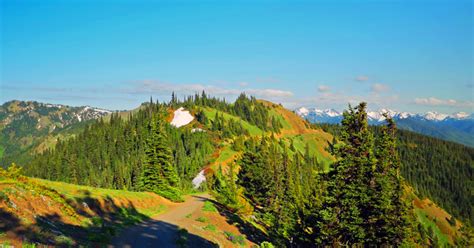 Top 10 Things To Do In Olympic National Park In 2022