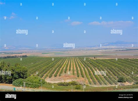The View Over Jezreel Valley At Tel Megiddo Known As The Valley Of