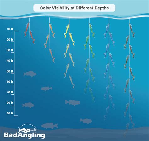 The Complete Bass Fishing Lure Color Selection Guide