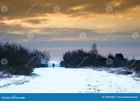 Winter Sunrise Landscape Over Snow Covered Path Stock Photo Image Of