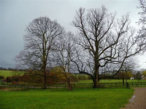 Mature Trees At Jenningsbury Farm © Jonathan Billinger Cc By Sa20