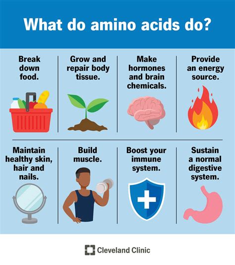Amino Acid Benefits And Food Sources