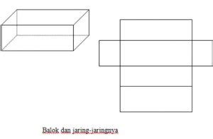 Contoh Jaring Jaring Balok Dan Cara Membuatnya