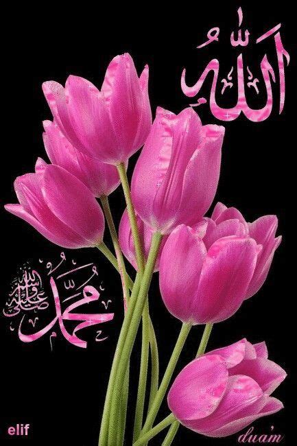 That is, they are the. Pin by Khushi S on Allah | Kaligrafi allah, Allah wallpaper, Islamic wallpaper iphone