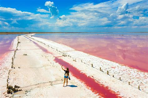 Kherson Region Uninhabited Island Pink Lakes Wild Nature