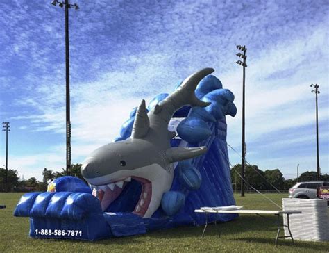 Shark Inflatable Slide My Florida Party Rental