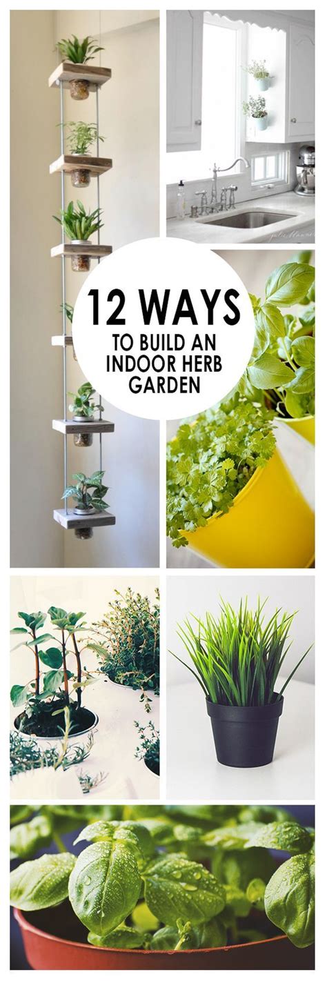 12 Ways To Build An Indoor Herb Garden Gardening Viral