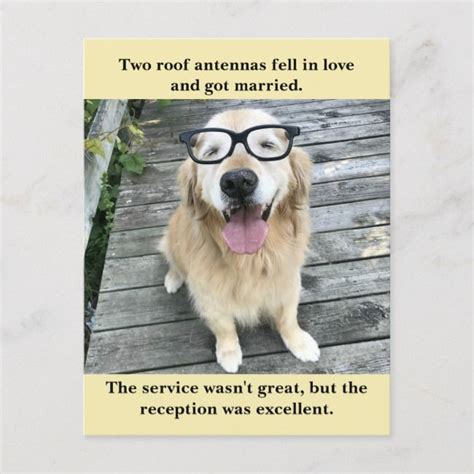Funny Golden Retriever Wedding Reception Joke Meme Announcement