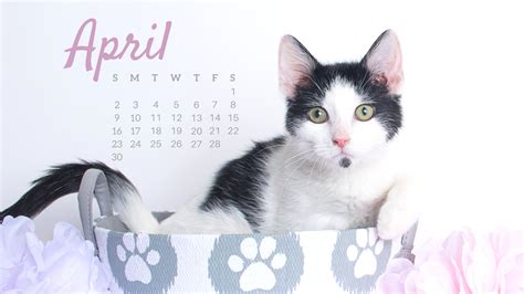 April 2017 Desktop Calendars