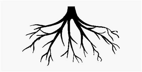 Roots Clip Art Black And White