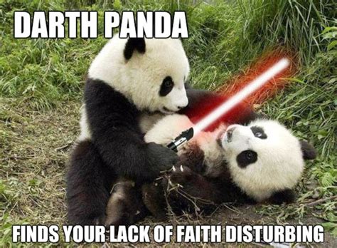 80 Amazing Panda Memes