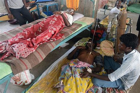 Japanese Encephalitis Toll In Odisha Mounts To 41