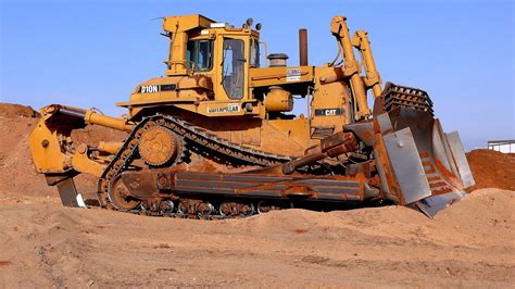 Largest Cat Dozer Cat Choices