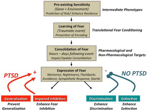 Frontiers Conditioned Fear Associated Phenotypes As Robust