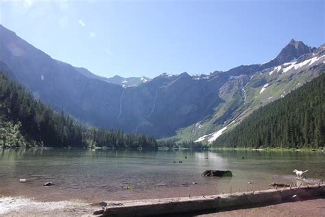 Avalanche Lake Glacier National Park Mt Top Tips Before You Go