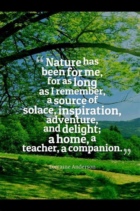 amazing nature quotes Extreme Weather | Nature quotes, Nature, Mother